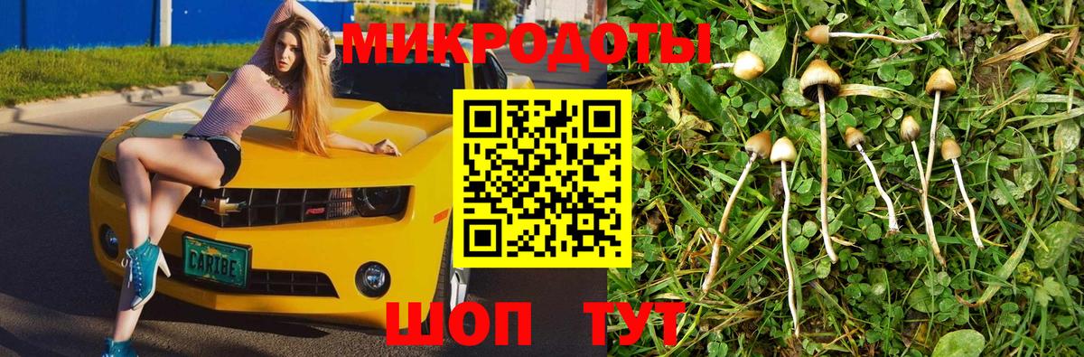 МДМА  COCAIN  Меф МЯУ МЯУ кристаллы  A-PVP СК   Канабис  Строитель  ГАШ  Вход с VPN 