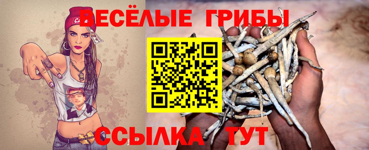где найти наркотики  Вход с VPN  Строитель  Псилоцибиновые грибы мухоморы 